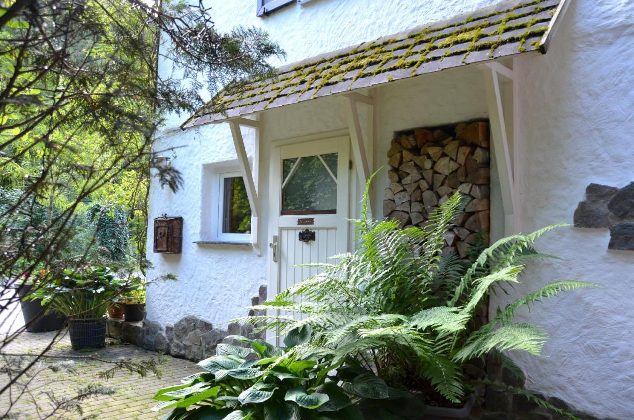 Birgits Landhaus Willingen Willingen  Eksteriør bilde