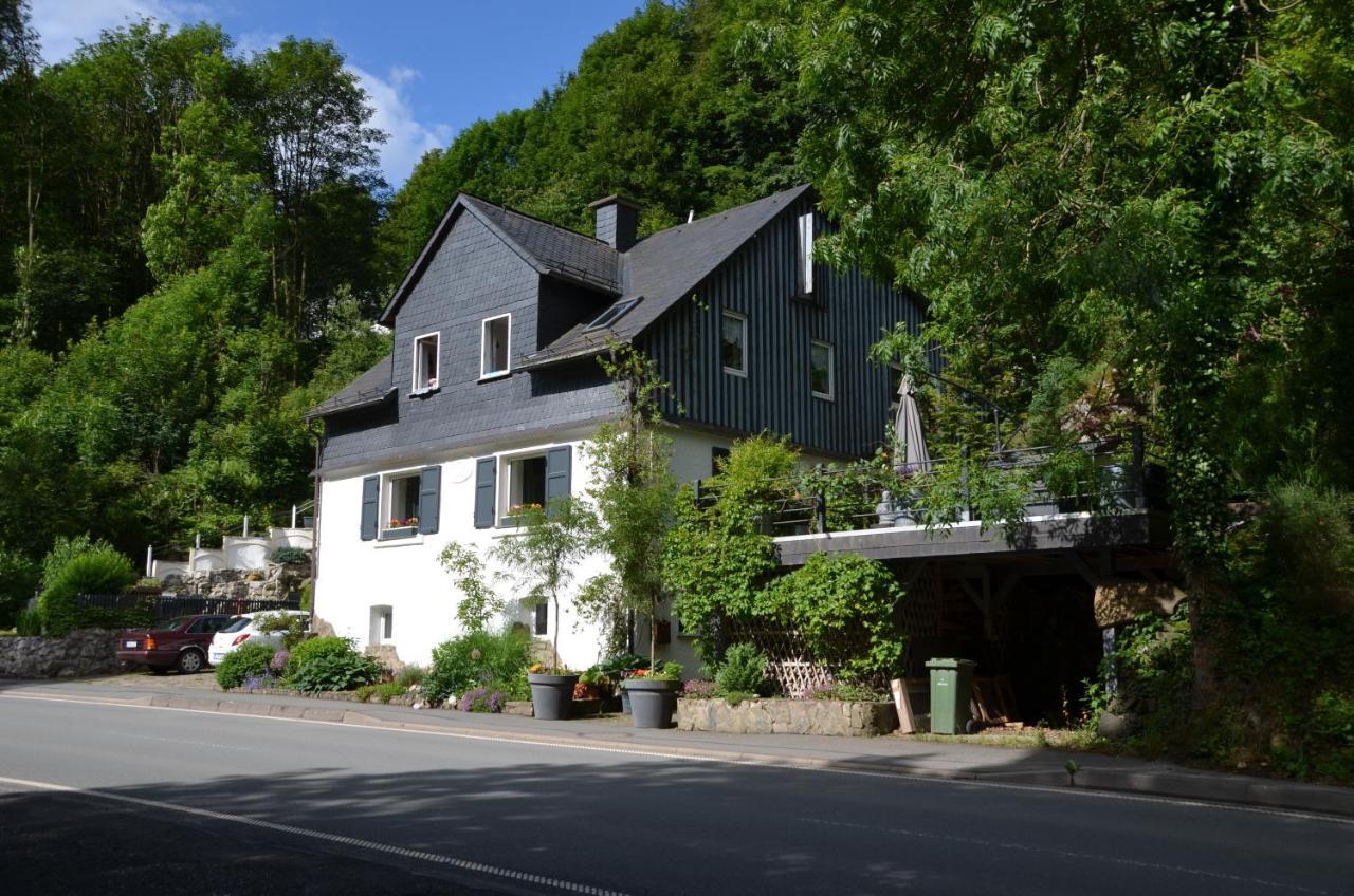 Birgits Landhaus Willingen Willingen  Eksteriør bilde